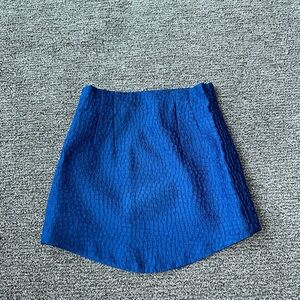 Zara Mini Skirt